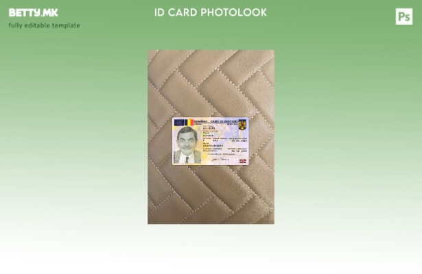 Модерен стил Романија лична карта е преден шаблон со фотолик